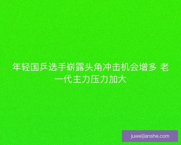 年轻国乒选手崭露头角冲击机会增多 老一代主力压力加大